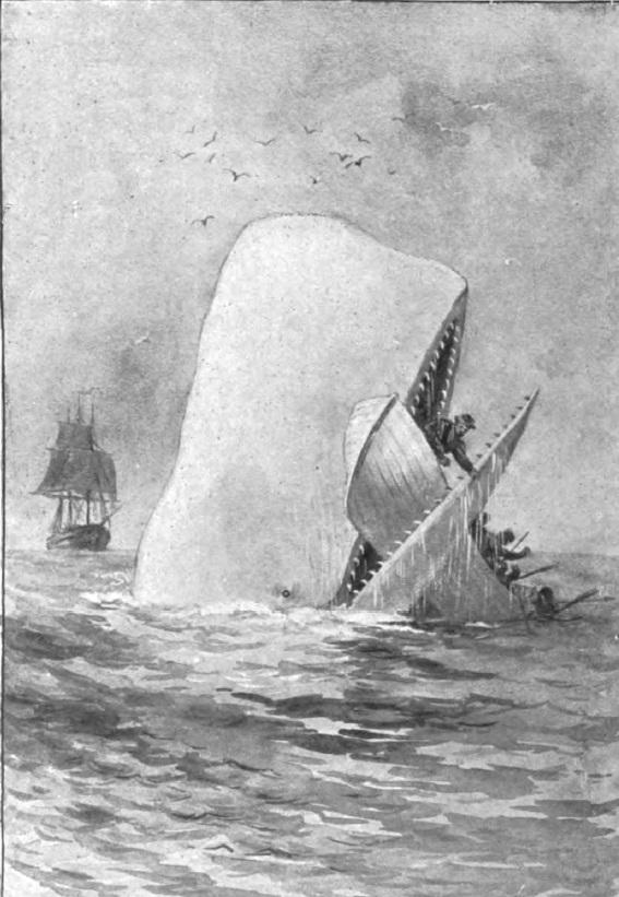 Moby Dick - Herman Melville görseli.